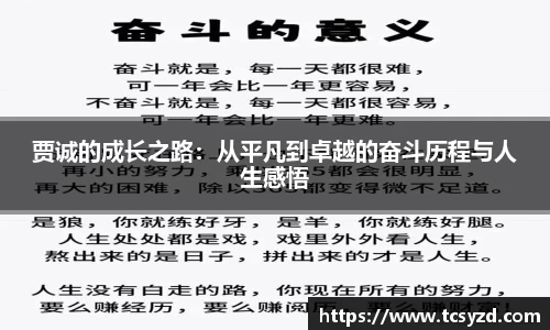 贾诚的成长之路:从平凡到卓越的奋斗历程与人生感悟